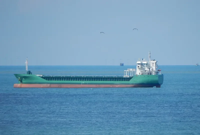 ARKLOW FOREST General Cargo IMO 9527685 photo 7