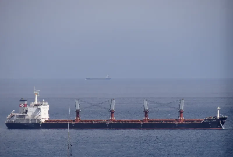 DEWI SARASWATI Bulk Carrier IMO 9527881