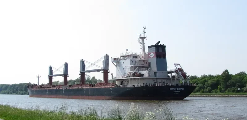 DEWI SARASWATI Bulk Carrier IMO 9527881 photo 4