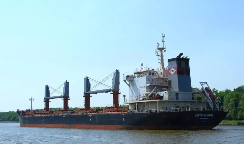 DEWI SARASWATI Bulk Carrier IMO 9527881 photo 6