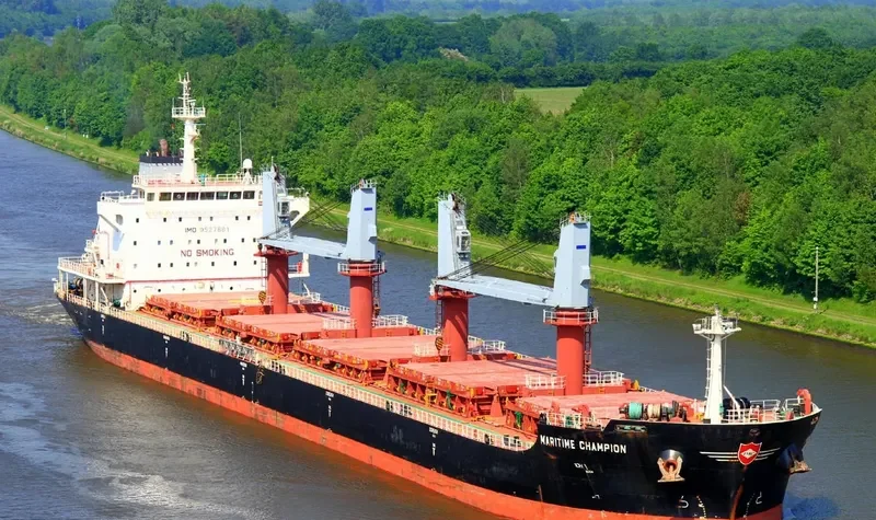 DEWI SARASWATI Bulk Carrier IMO 9527881 photo 7