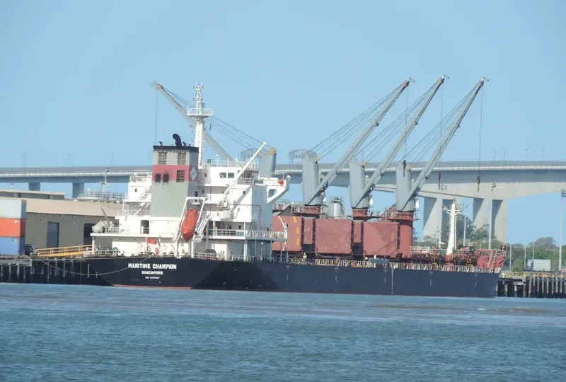 DEWI SARASWATI Bulk Carrier IMO 9527881 photo 9