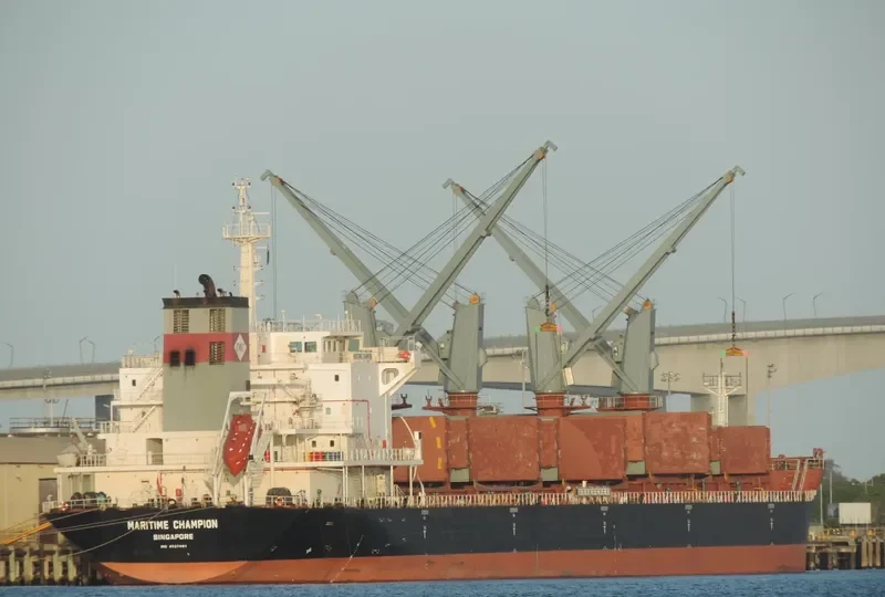 DEWI SARASWATI Bulk Carrier IMO 9527881 photo 10