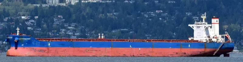 ALPHA BRAVERY Bulk Carrier IMO 9527910 photo 4