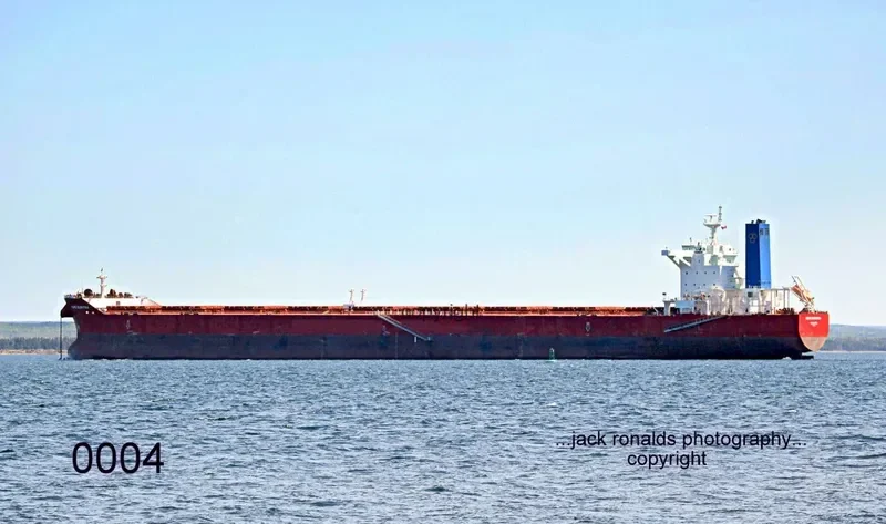 CAPE ELEKTRA Bulk Carrier IMO 9527922 photo 10