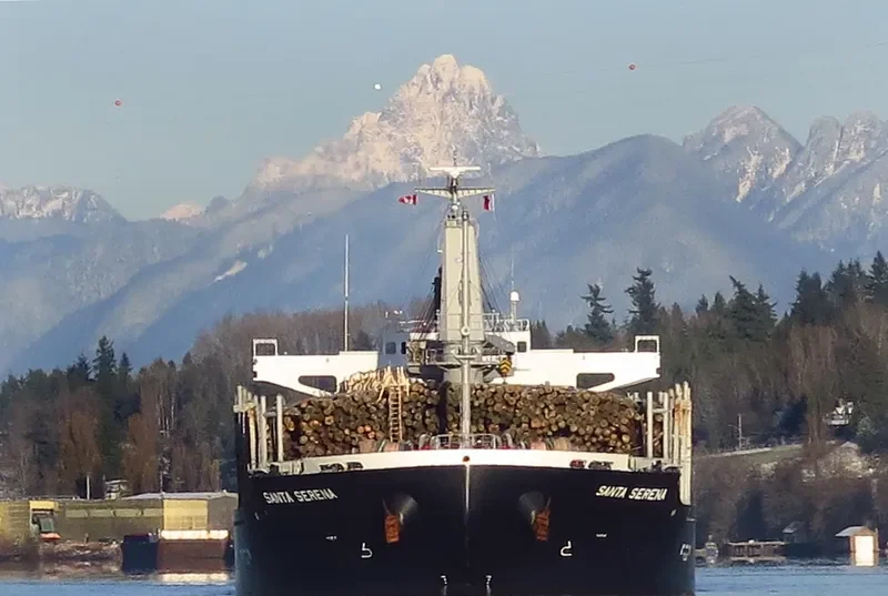 SANTA SERENA General Cargo IMO 9527934 photo 10