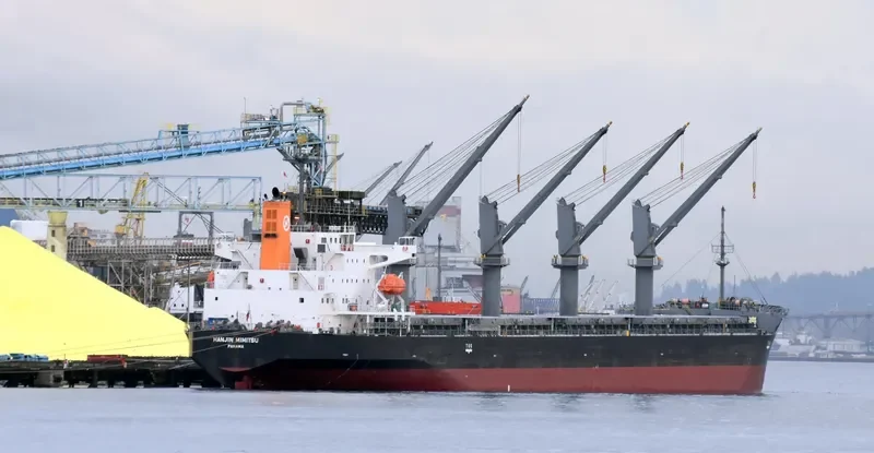 MIMITSU General Cargo IMO 9527958 photo 8