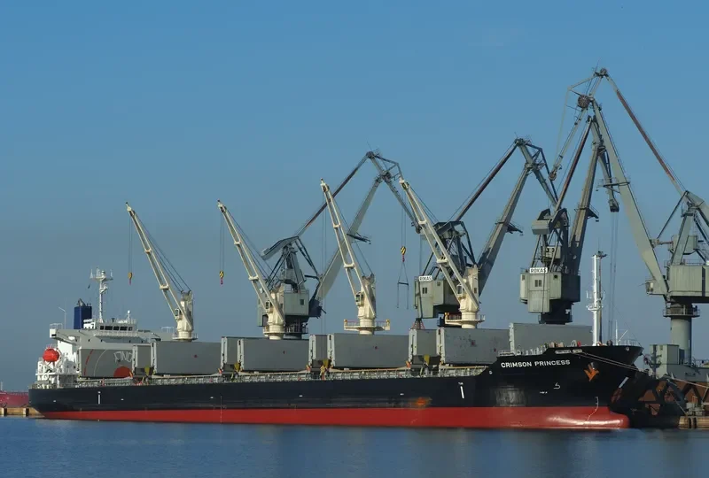 CRIMSON PRINCESS Bulk Carrier IMO 9527960 photo 3
