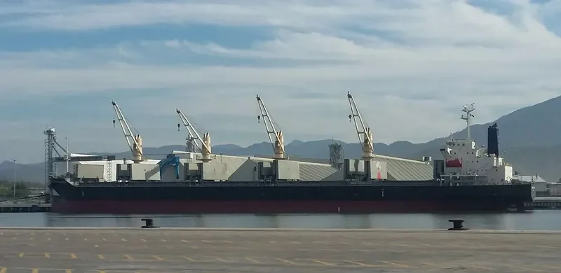 CRIMSON PRINCESS Bulk Carrier IMO 9527960 photo 9