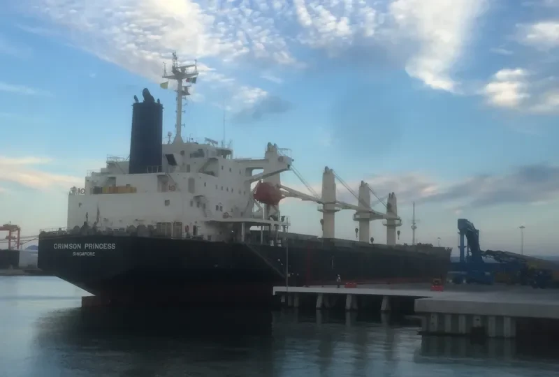 CRIMSON PRINCESS Bulk Carrier IMO 9527960 photo 10