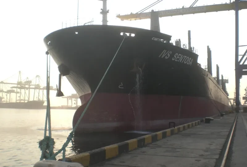 IVS SENTOSA Bulk Carrier IMO 9528005 photo 3