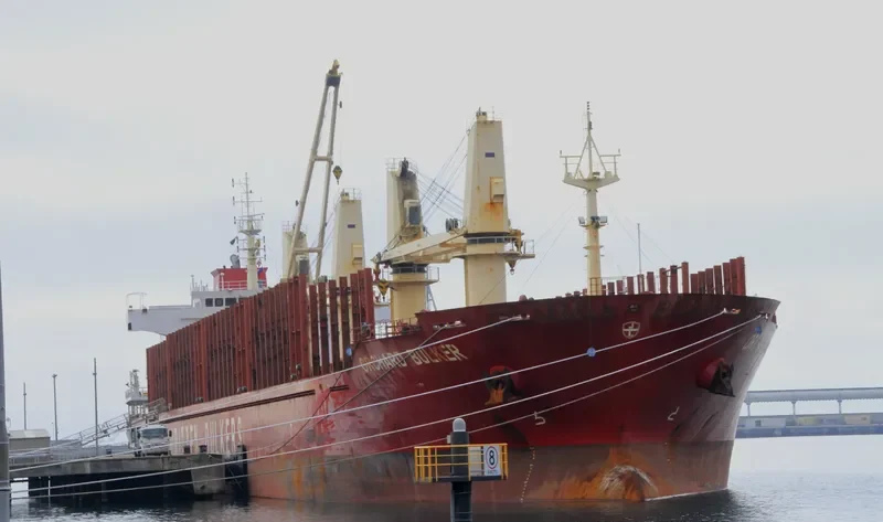 IVS SENTOSA Bulk Carrier IMO 9528005 photo 10