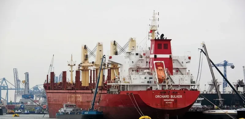 ORCHARD BULKER Bulk Carrier IMO 9528017 photo 2