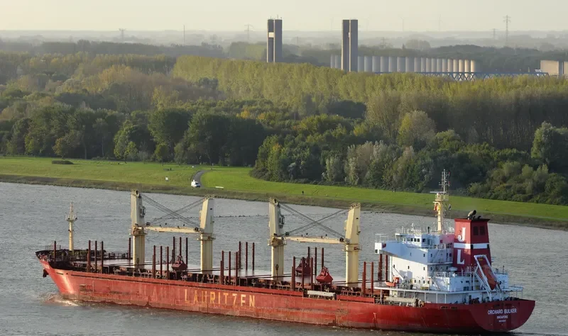 ORCHARD BULKER Bulk Carrier IMO 9528017 photo 4