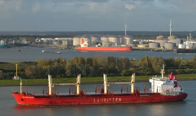 ORCHARD BULKER Bulk Carrier IMO 9528017 photo 5