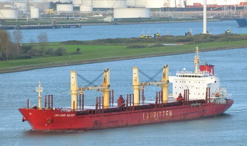 ORCHARD BULKER Bulk Carrier IMO 9528017 photo 6