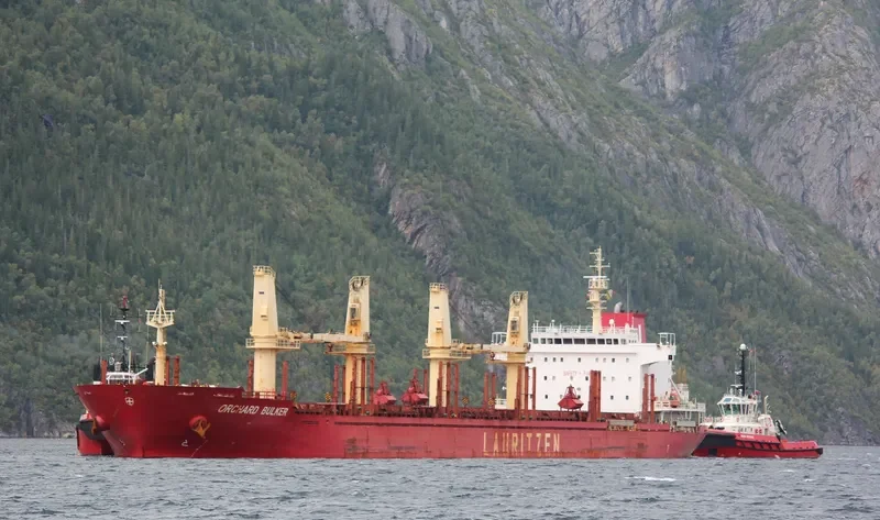ORCHARD BULKER Bulk Carrier IMO 9528017 photo 7