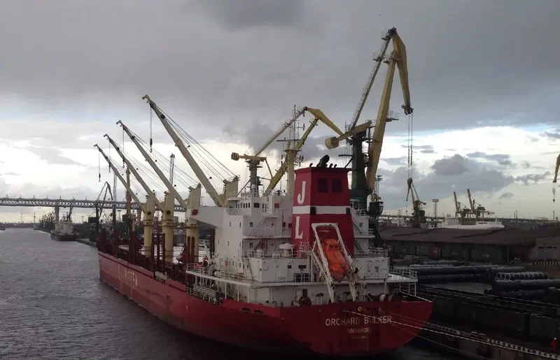 ORCHARD BULKER Bulk Carrier IMO 9528017 photo 9