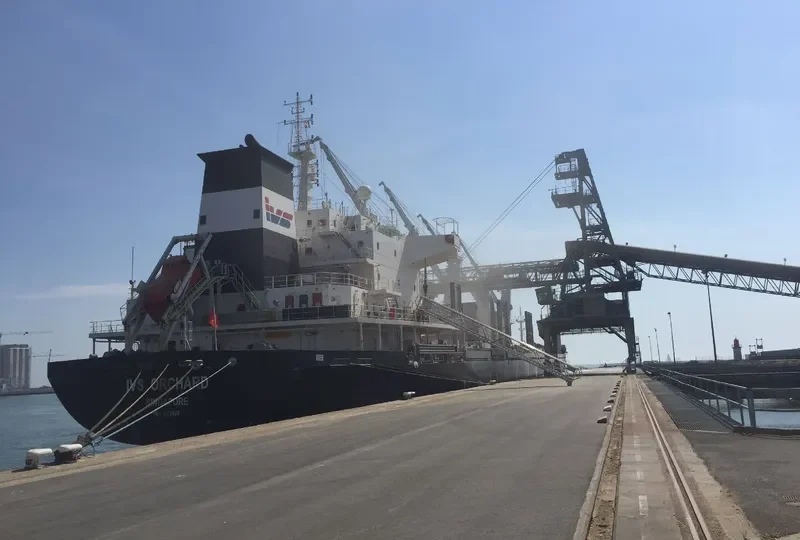 IVS ORCHARD Bulk Carrier IMO 9528029