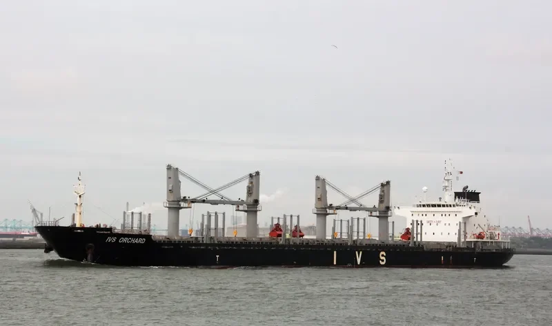 IVS ORCHARD Bulk Carrier IMO 9528029 photo 2