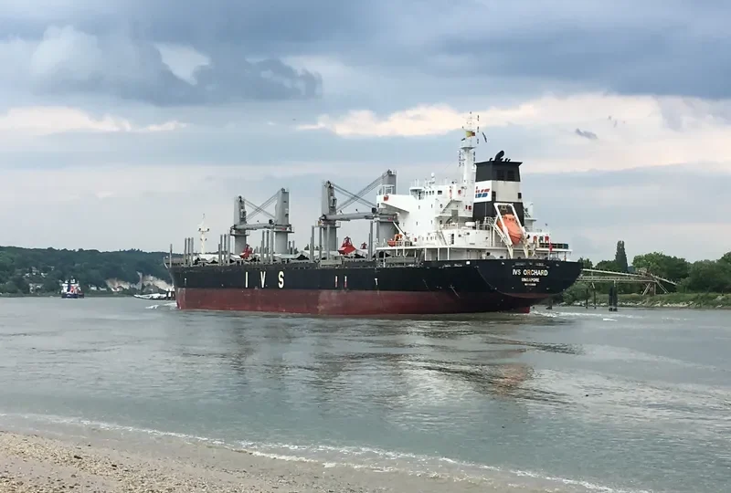 IVS ORCHARD Bulk Carrier IMO 9528029 photo 3