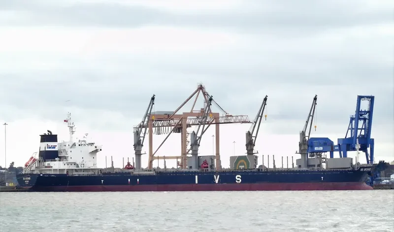 IVS ORCHARD Bulk Carrier IMO 9528029 photo 4