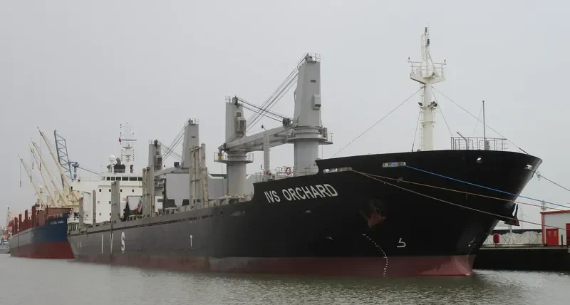 IVS ORCHARD Bulk Carrier IMO 9528029 photo 5