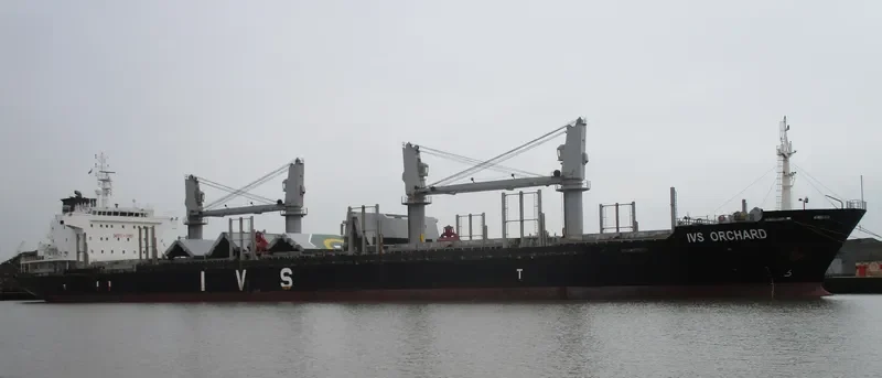 IVS ORCHARD Bulk Carrier IMO 9528029 photo 6
