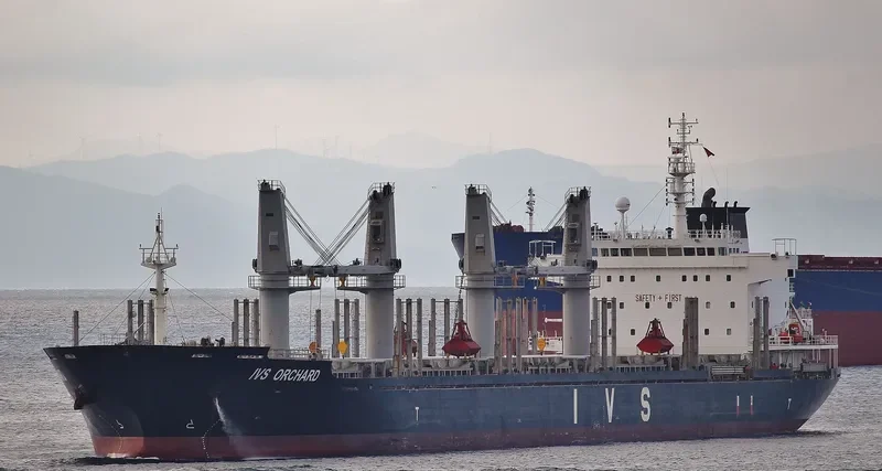 IVS ORCHARD Bulk Carrier IMO 9528029 photo 7
