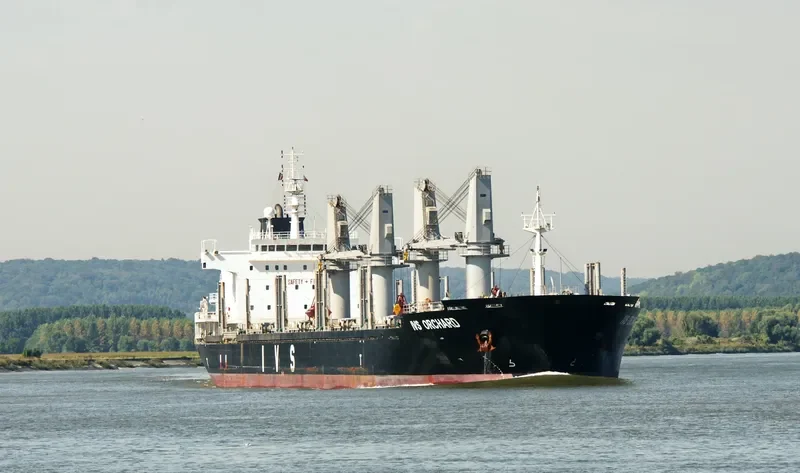 IVS ORCHARD Bulk Carrier IMO 9528029 photo 8