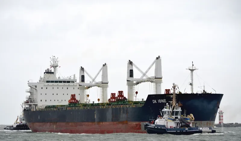 DK IONE Bulk Carrier IMO 9528158