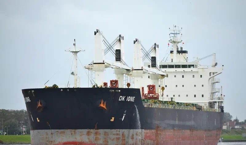 DK IONE Bulk Carrier IMO 9528158 photo 2