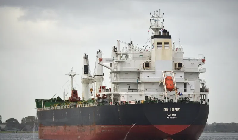 DK IONE Bulk Carrier IMO 9528158 photo 3