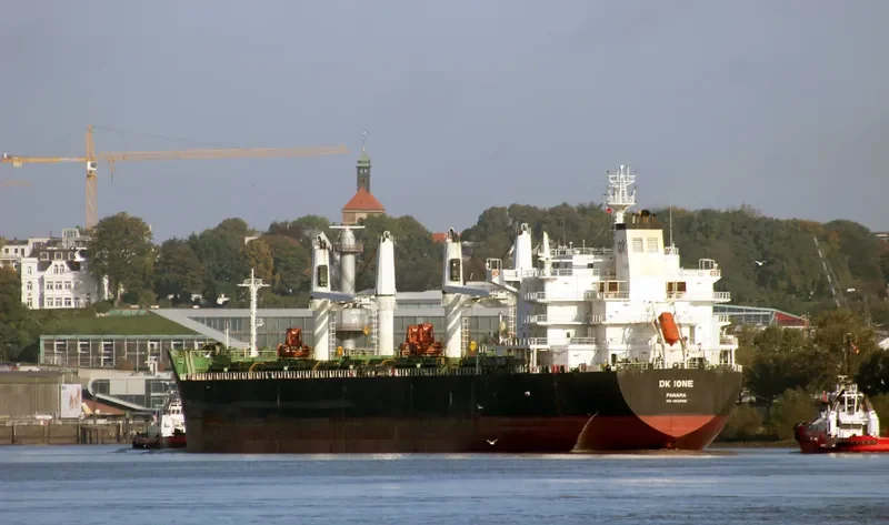 DK IONE Bulk Carrier IMO 9528158 photo 9