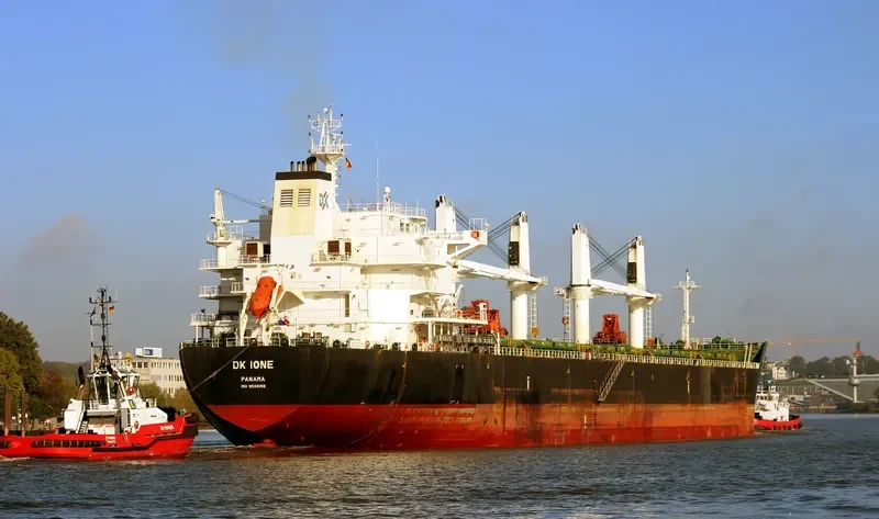 DK IONE Bulk Carrier IMO 9528158 photo 10