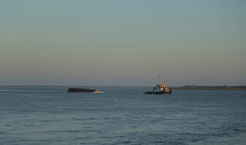 SEA BELUGA General Cargo IMO 9528316 photo 2