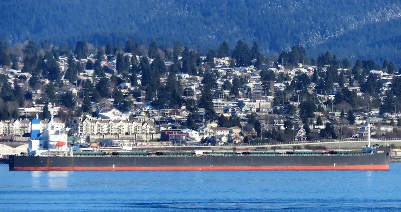 MARCO Bulk Carrier IMO 9528574 photo 2