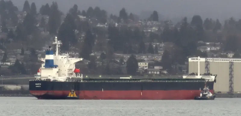 MARCO Bulk Carrier IMO 9528574 photo 9
