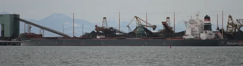 KWK LEGACY Bulk Carrier IMO 9528653 photo 8