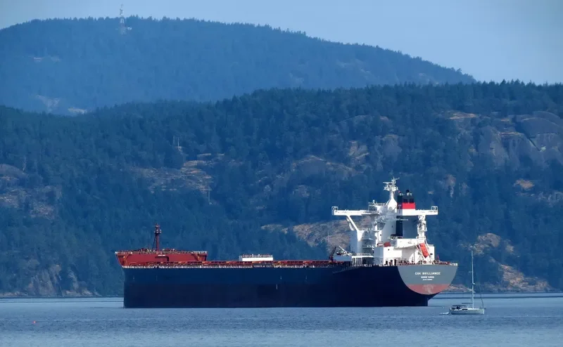 CSK BRILLIANCE Bulk Carrier IMO 9528665