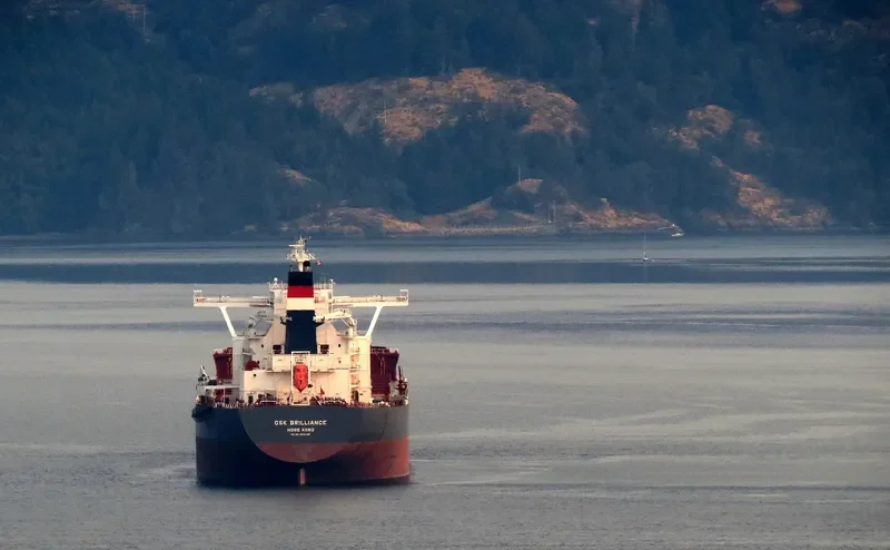 CSK BRILLIANCE Bulk Carrier IMO 9528665 photo 2