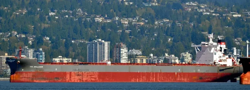CSK BRILLIANCE Bulk Carrier IMO 9528665 photo 4