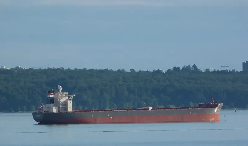 CSK BRILLIANCE Bulk Carrier IMO 9528665 photo 7