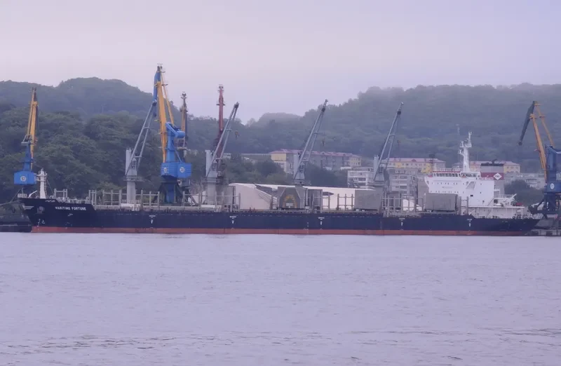 DEWI REGINA MANGGALA Bulk Carrier IMO 9528873 photo 3