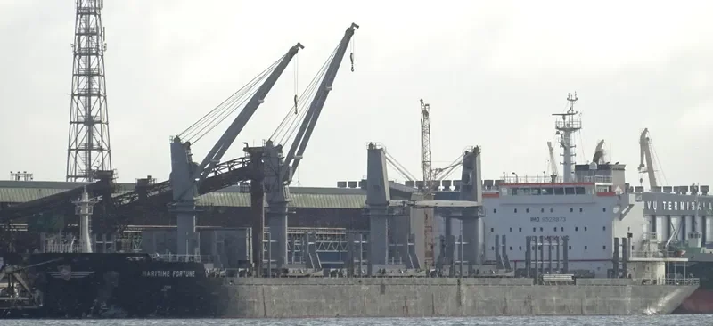 DEWI REGINA MANGGALA Bulk Carrier IMO 9528873 photo 4