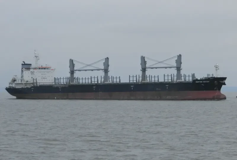 DEWI REGINA MANGGALA Bulk Carrier IMO 9528873 photo 5