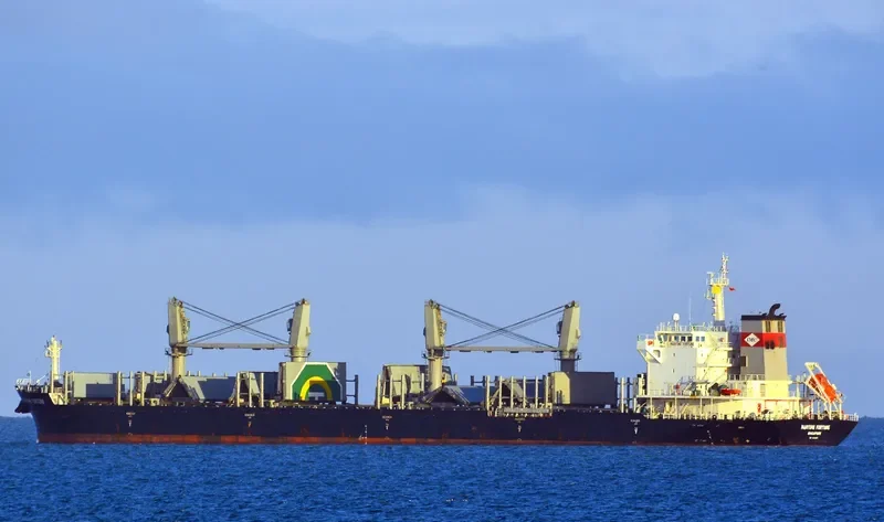 DEWI REGINA MANGGALA Bulk Carrier IMO 9528873 photo 6