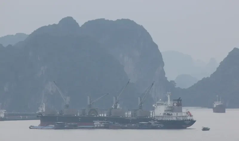 DEWI REGINA MANGGALA Bulk Carrier IMO 9528873 photo 9