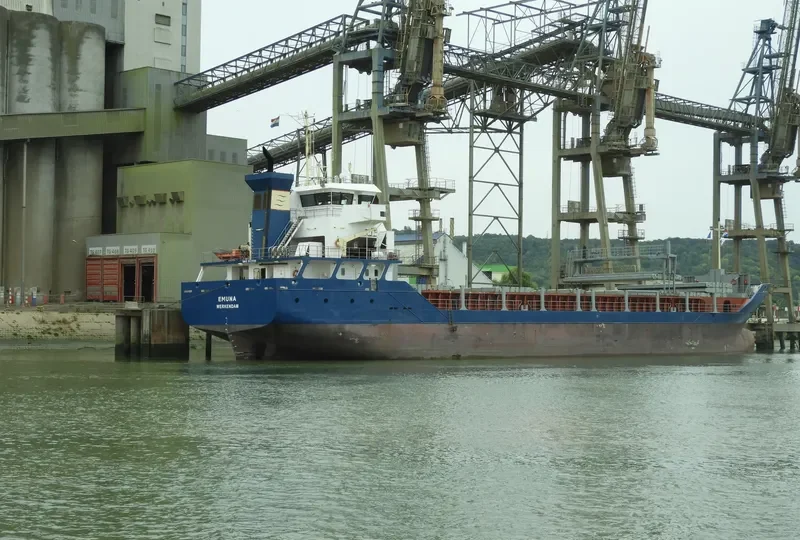 EEMS RANGER General Cargo IMO 9529188 photo 6