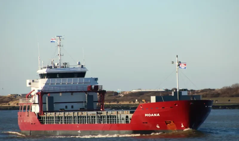 MOANA General Cargo IMO 9529190 photo 5